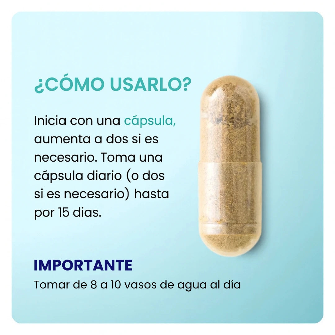 15 Day Cleanse Gut Support