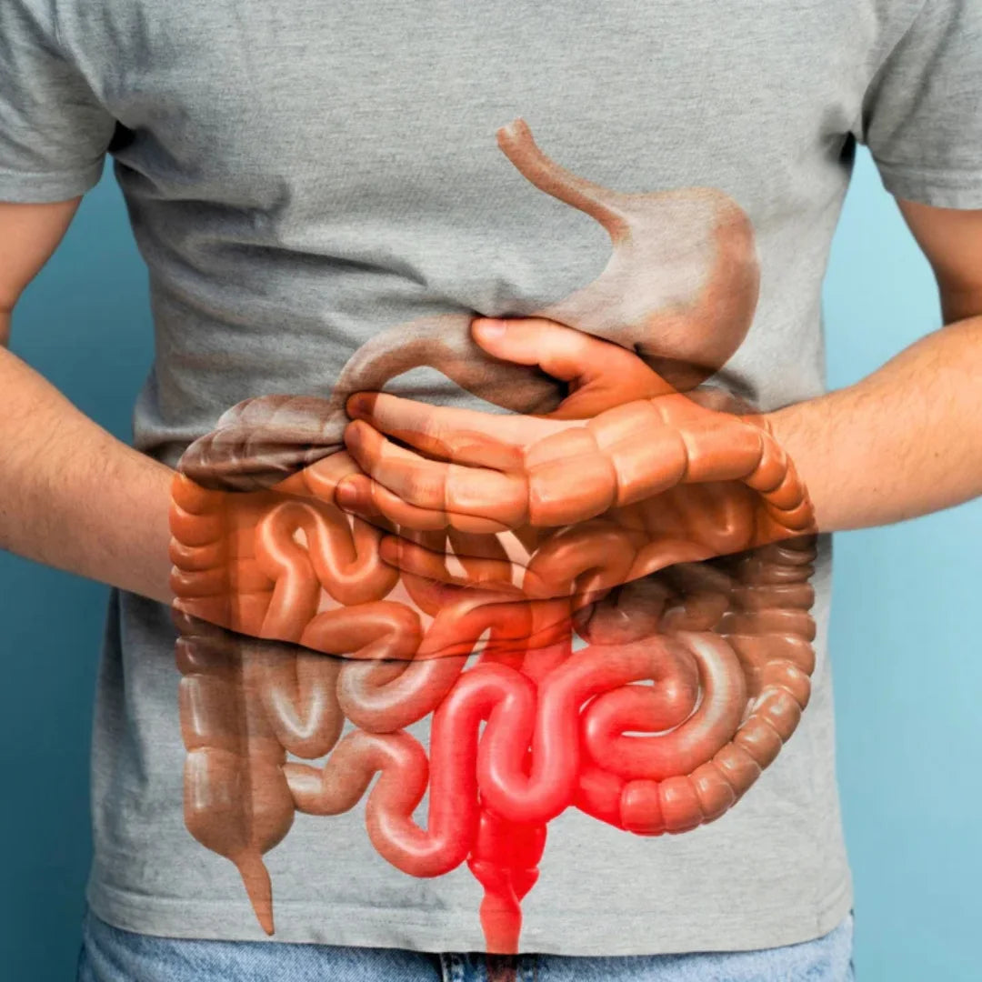 15 Day Cleanse Gut Support