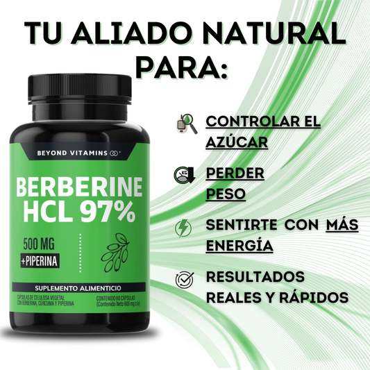 🧠 BERBERINA